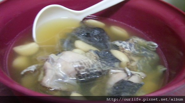cooking.愛心清燉蒜頭田雞湯