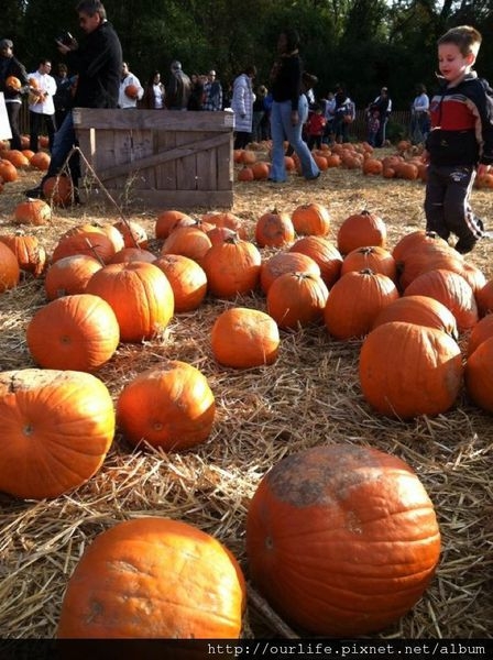 Happy Halloween!