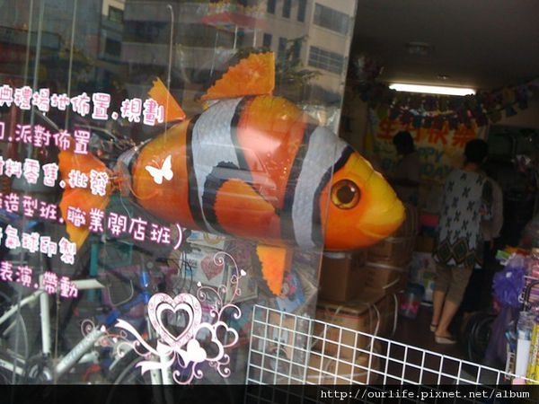 隨談.台中也有nemo飛天魚
