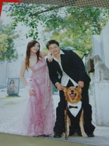 Wedding Invitation~2/26update