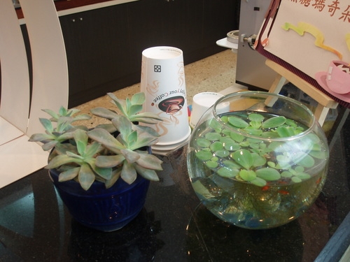 口味獨特的茶字典茶店