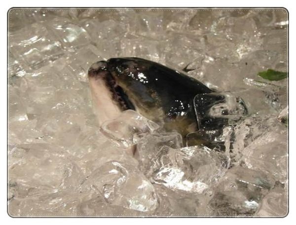 (新北市板橋美食-江子翠捷運站)炒之霸海鮮熱炒店~創意料理精緻上桌~聚餐超值台灣味新選擇