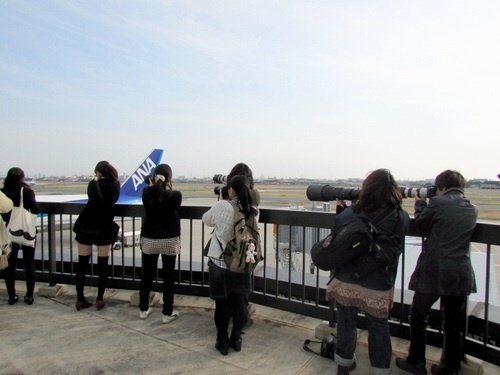飛行機に萌え…「空美」族急增中