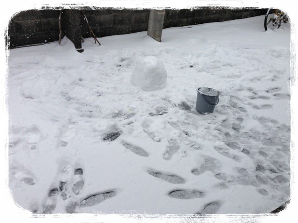 東京破45年記錄下大雪,我家的雪人變成老鼠?