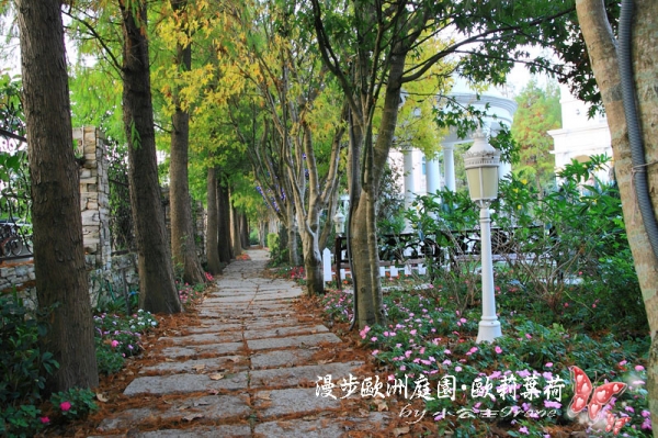 【南投埔里】漫步歐洲庭園.歐莉葉荷(環境篇)
