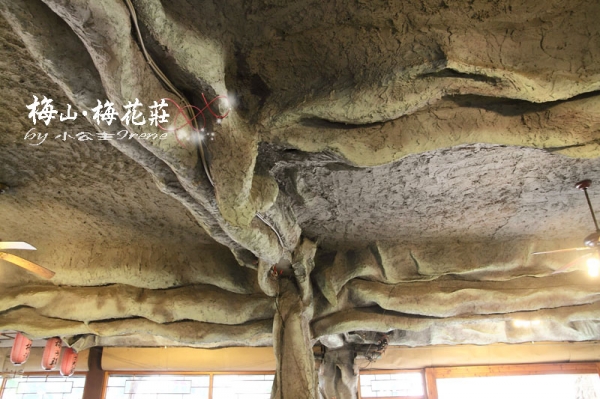 【嘉義梅山】梅香饗宴.梅花莊