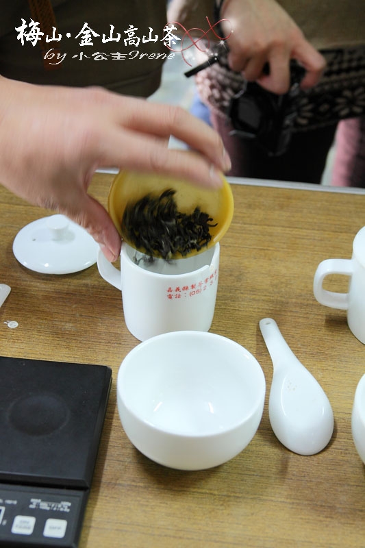 【嘉義梅山】茶香滿屋.金山高山茶