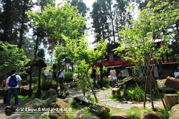 【南投鹿谷】小心枯麻出沒妖怪村.松林町