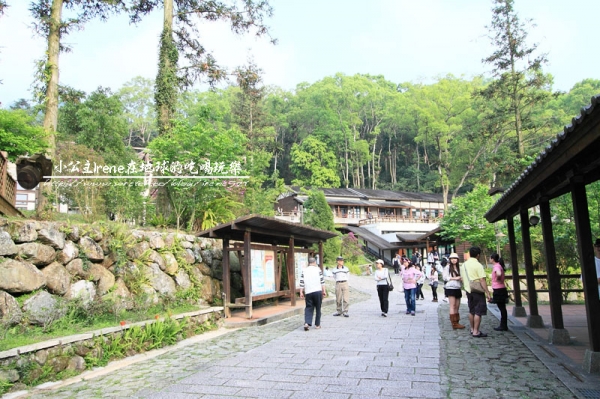 【南投鹿谷鄉】漫遊 森林 小學.內湖國小