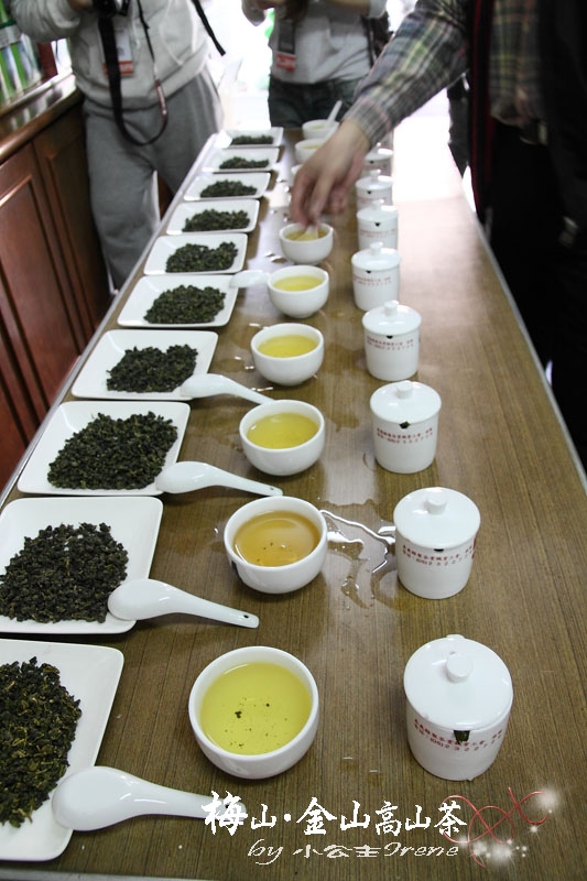 【嘉義梅山】茶香滿屋.金山高山茶