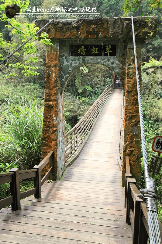 【南投鹿谷】盡情擁抱自然.溪頭自然教育園區