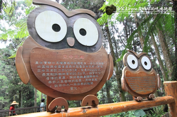 【南投鹿谷】盡情擁抱自然.溪頭自然教育園區