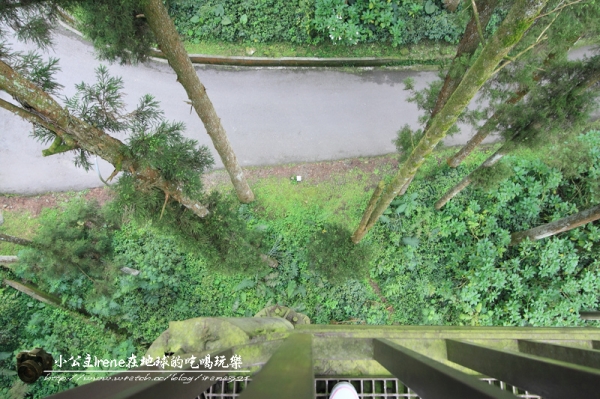 【南投鹿谷】盡情擁抱自然.溪頭自然教育園區