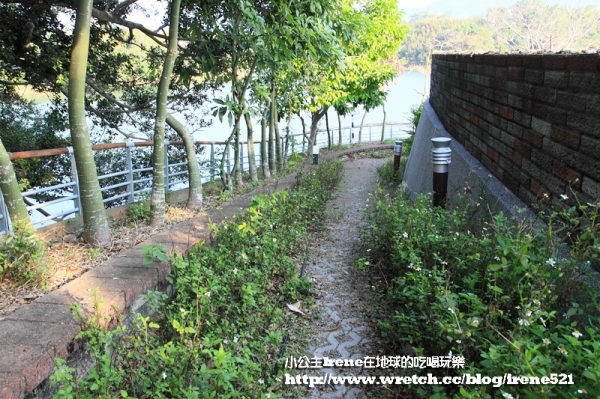 【苗栗】獨立的湖中島.日新島