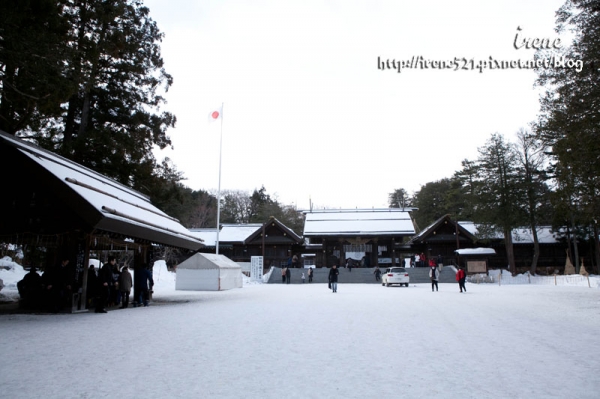 【北海道札幌】日本新年的神宮 分外的熱鬧.北海道神宮