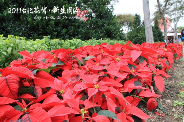 【2011花博】台北花博.新生公園區(花茶殿)