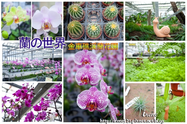 【宜蘭礁溪】北台灣最大的專業蘭園.金車蘭花園(礁溪園區)