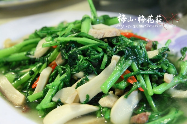 【嘉義梅山】梅香饗宴.梅花莊