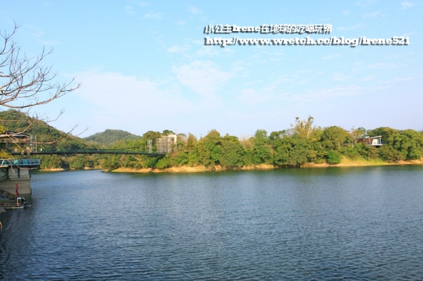 【苗栗】獨立的湖中島.日新島