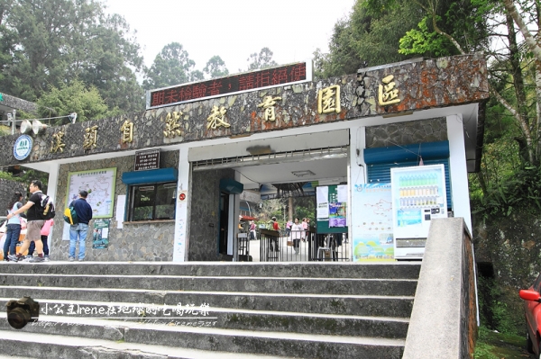 【南投鹿谷】盡情擁抱自然.溪頭自然教育園區