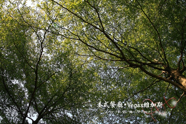 【台北中山區】Vegas維加斯美式餐廳