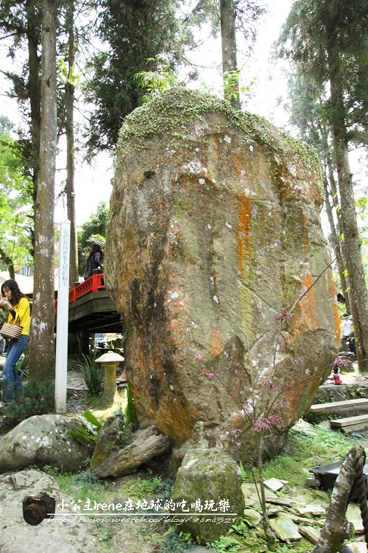 【南投鹿谷】小心枯麻出沒妖怪村.松林町