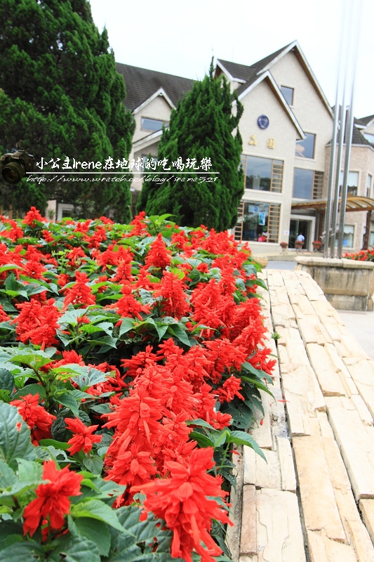 【南投魚池】螢火蟲圍繞的山林小屋.晶園休閒度假村