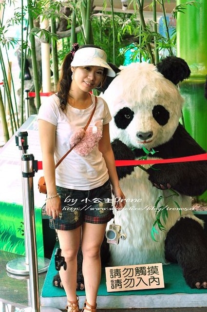 【台北】傳說中的草泥馬之約.台北市立動物園