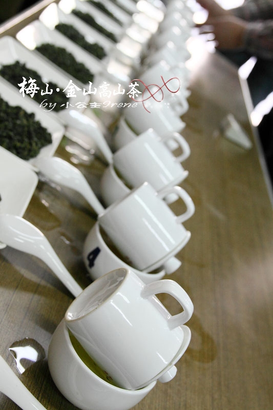 【嘉義梅山】茶香滿屋.金山高山茶