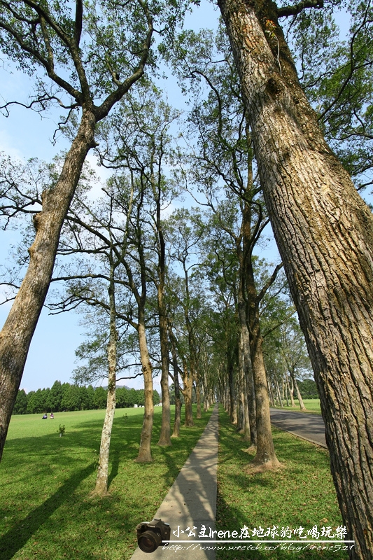 【南投魚池】最美麗的校園.三育基督學院