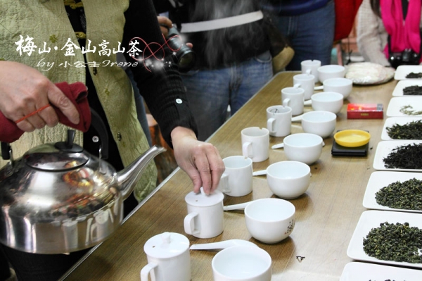 【嘉義梅山】茶香滿屋.金山高山茶