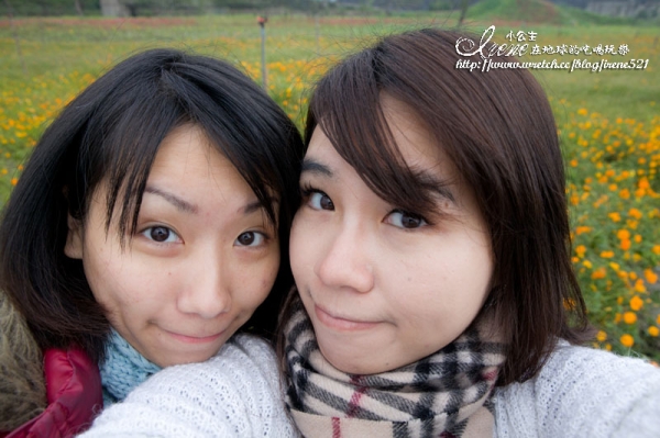 【南投】2012/12/16~2013/01/20‧南投花卉嘉年華