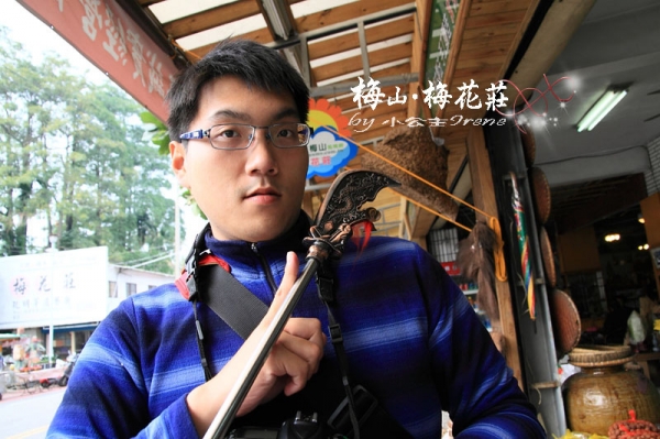 【嘉義梅山】梅香饗宴.梅花莊