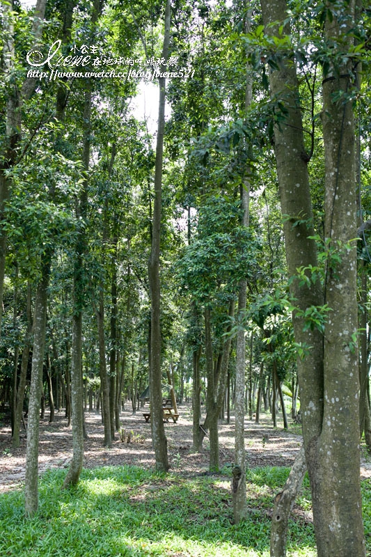 波尼塔香草花園