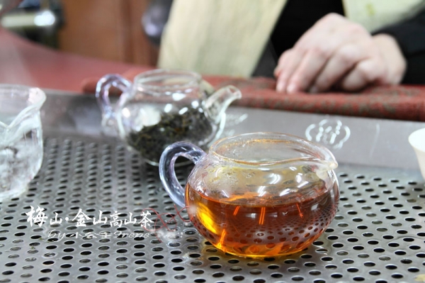 【嘉義梅山】茶香滿屋.金山高山茶