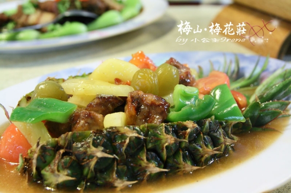 【嘉義梅山】梅香饗宴.梅花莊