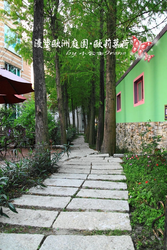 【南投埔里】漫步歐洲庭園.歐莉葉荷(環境篇)