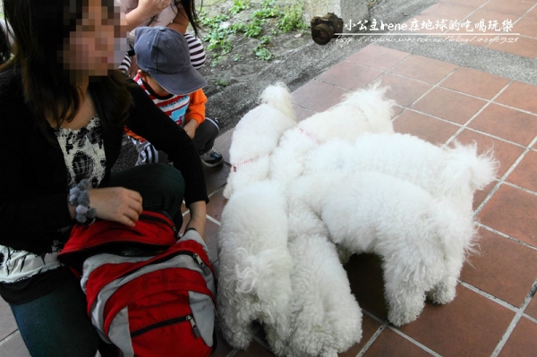 【南投鹿谷鄉】漫遊 森林 小學.內湖國小