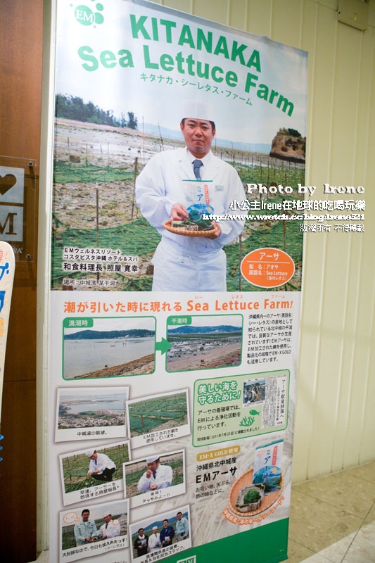 【日本沖繩】來場EM的完美渡假.野菜旬感& EM SPA CORAZON