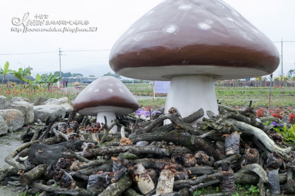【南投】2012/12/16~2013/01/20‧南投花卉嘉年華