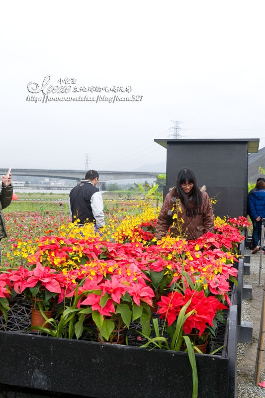 【南投】2012/12/16~2013/01/20‧南投花卉嘉年華