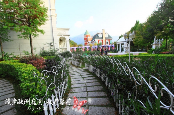 【南投埔里】漫步歐洲庭園.歐莉葉荷(環境篇)