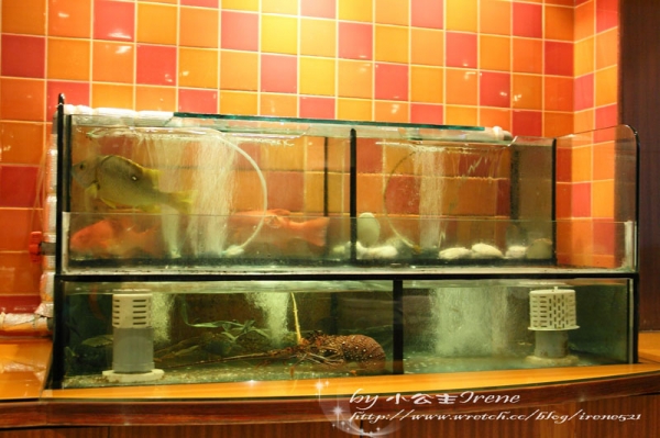 【台北中山區】涮出食材鮮滋味.欣葉呷哺呷哺