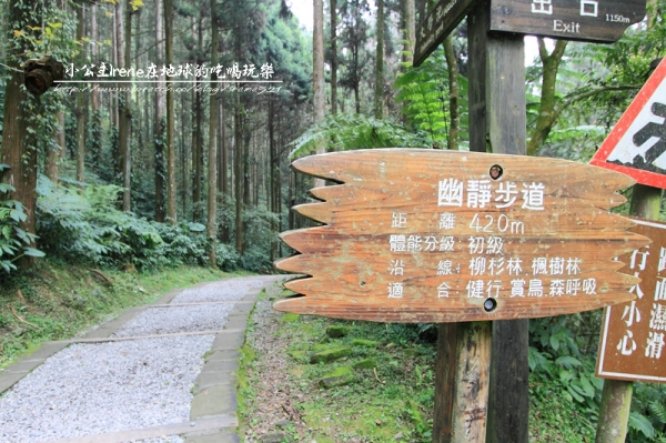 【南投鹿谷】盡情擁抱自然.溪頭自然教育園區