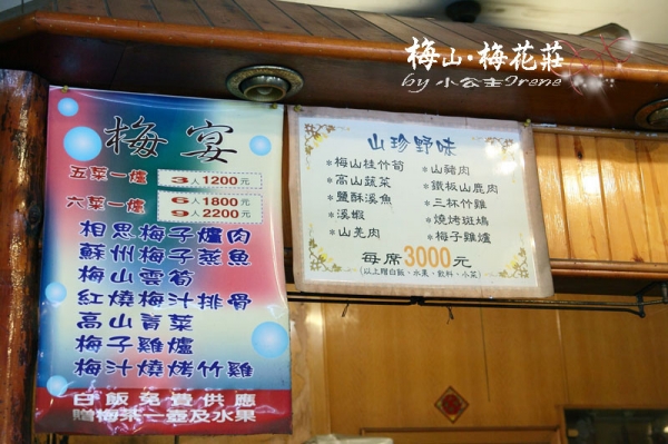 【嘉義梅山】梅香饗宴.梅花莊