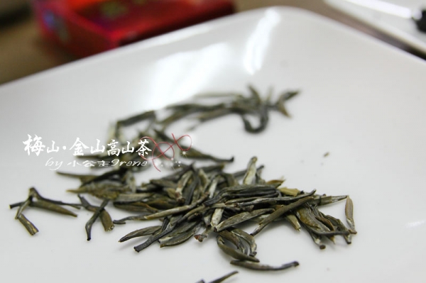 【嘉義梅山】茶香滿屋.金山高山茶