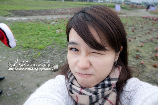 【南投】2012/12/16~2013/01/20‧南投花卉嘉年華