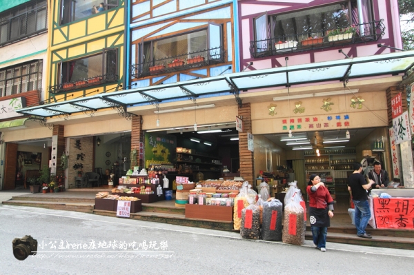 【南投鹿谷】小心枯麻出沒妖怪村.松林町