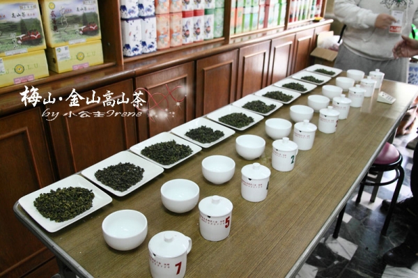 【嘉義梅山】茶香滿屋.金山高山茶