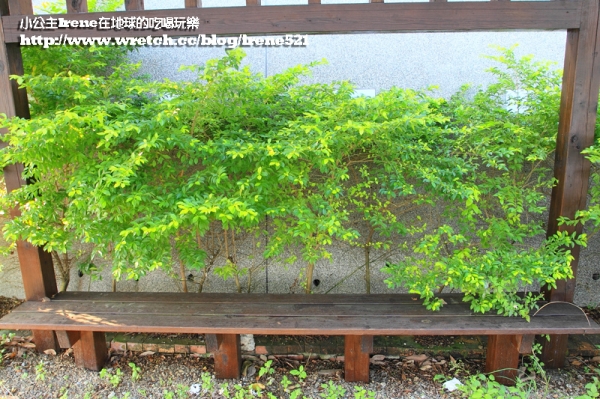 【苗栗】獨立的湖中島.日新島